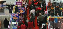 Happy New Year Shenzhen Shopping Carnival