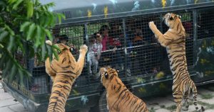 Shenzhen Safari Park